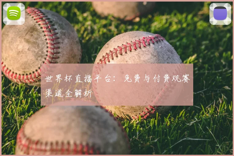 世界杯直播平台:免费与付费观赛渠道全解析