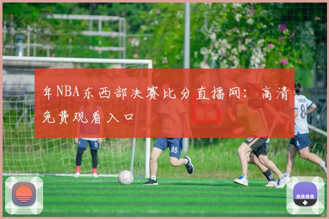 年NBA东西部决赛比分直播网：高清免费观看入口