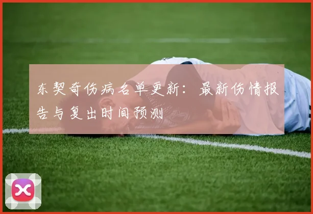 东契奇伤病名单更新:最新伤情报告与复出时间预测